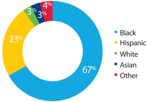 CIS Students Ethnicity